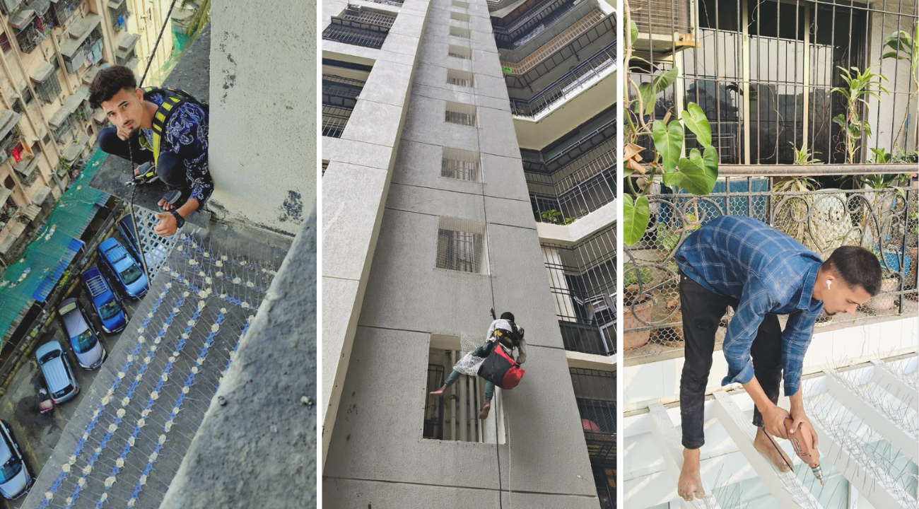 Siraj Bird Netting banner 1